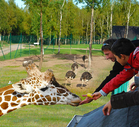 monde-sauvage-safari-parc
