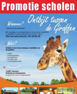 formule dejeuner ecole avec les girafes dierenpark monde sauvage safari aywaille