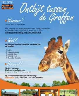 formule dejeuner avec les girafes dierenpark monde sauvage safari aywaille